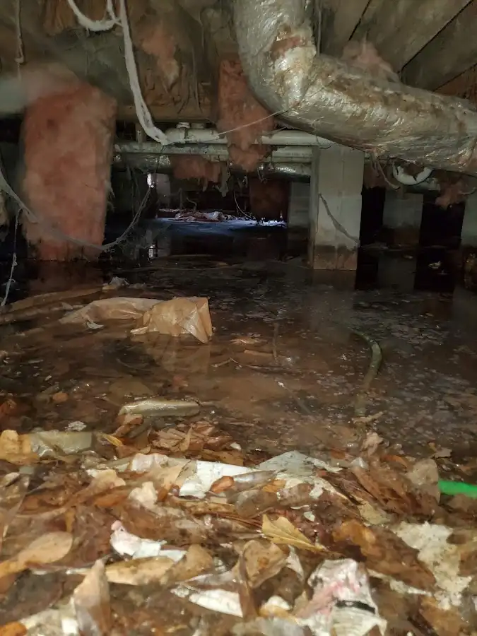 Crawl space flood assessment for Leak Detection & Repair in Swainsboro